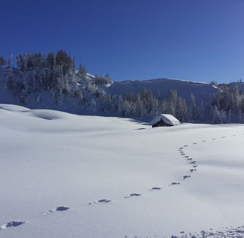 Vacanze in Alta Badia Immagine: Alta Badia