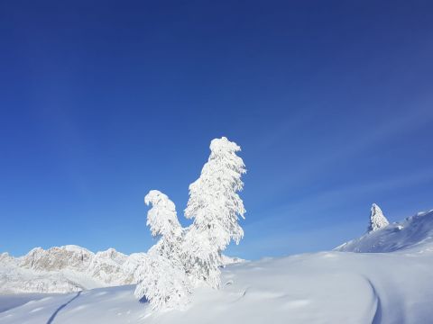 Vacanze in Alta Badia Immagine: Alta Badia