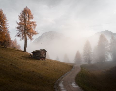 Vacanze in Alta Badia Immagine: Alta Badia