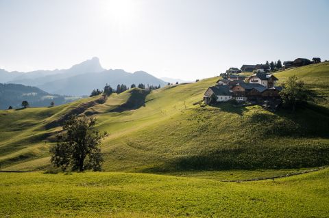 Vacanze in Alta Badia Immagine: Alta Badia